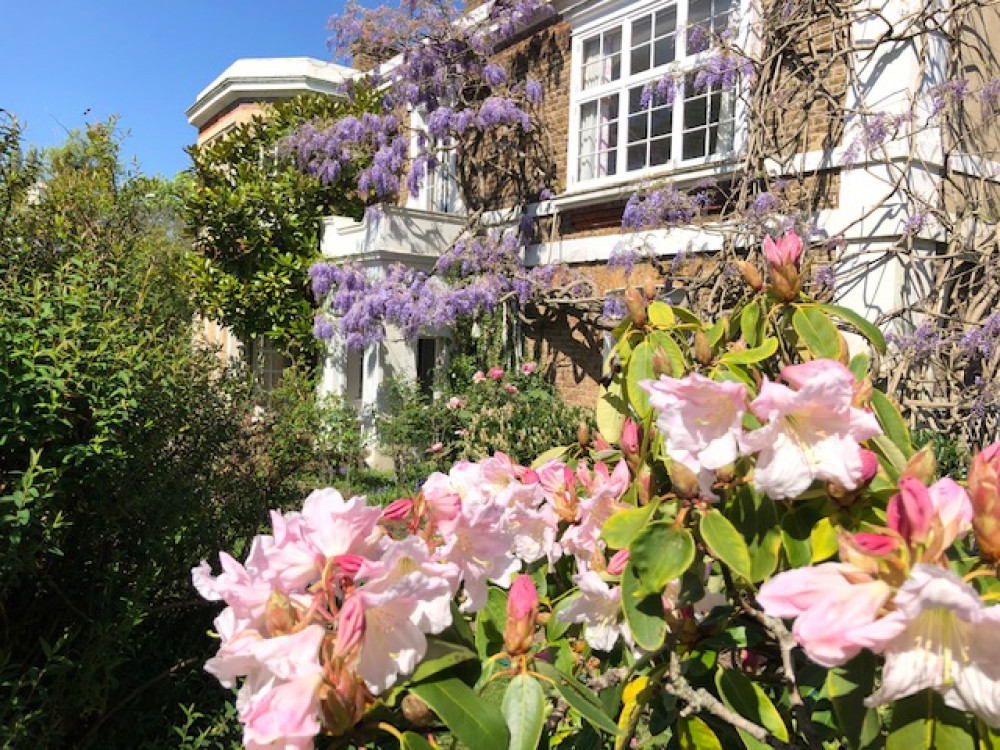 Residents will welcome the highly anticipated return of 'Teddington in Flower' later this month following a three-year hiatus enforced by Covid-restrictions (Credit: Teddington Society)