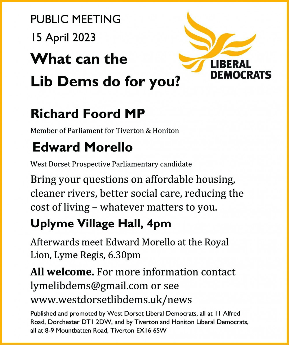 What Can the Lib Dems Do For You?