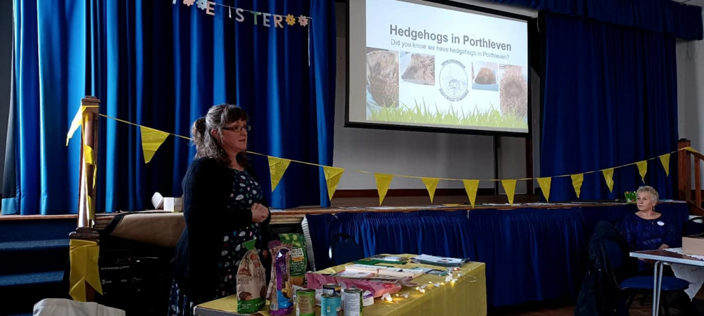 Tips were given on how to how make your garden hedgehog friendly (Image: Porthleven Harbour Hedgies)