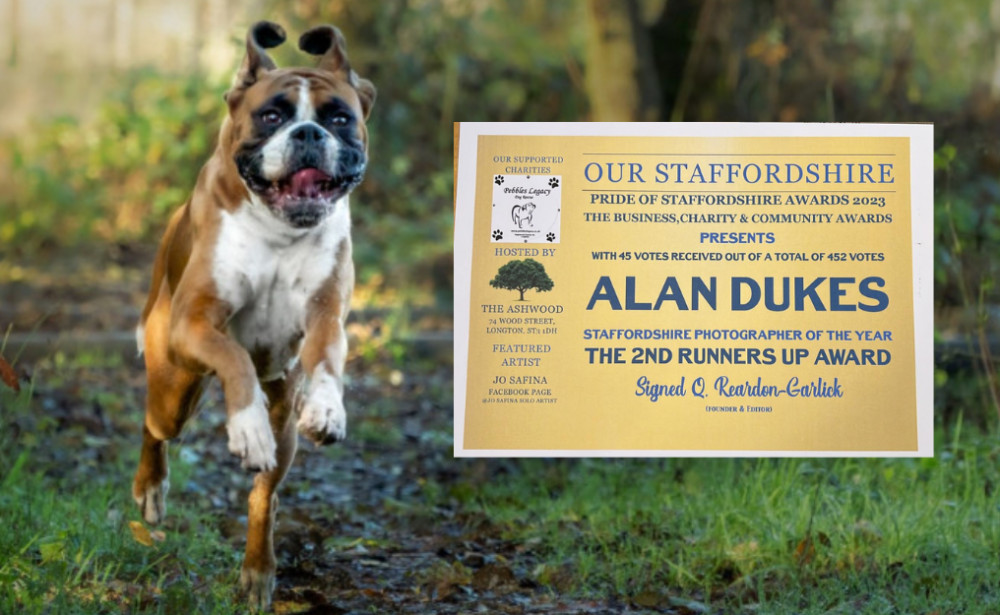 Alan Dukes Photography won the second runners up award on Tuesday (Alan Dukes).