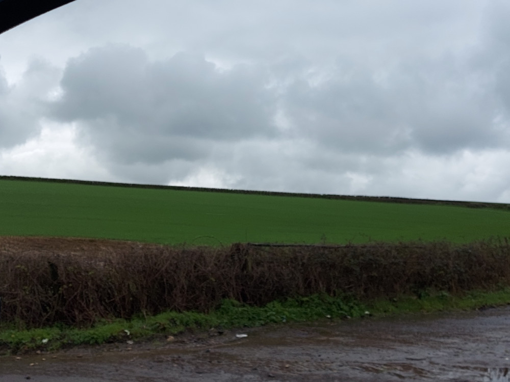 The green fields between Frome and Radstock 