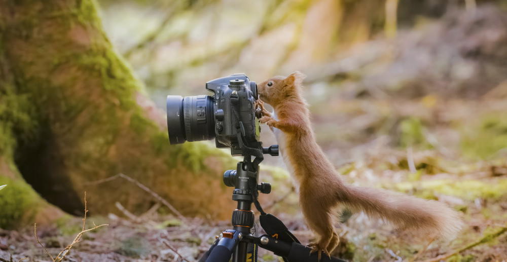 Cheeky (Picture: David Robertshaw/SWNS)