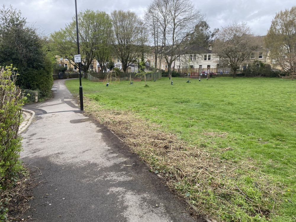 The hedge was cut completely down to the ground (Image: John Wimperis) - free to use for all partners