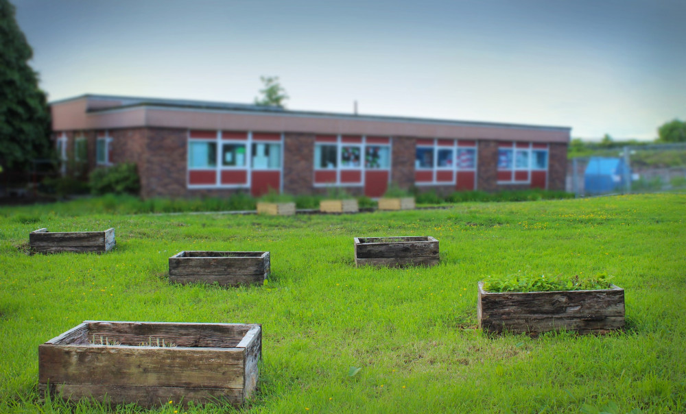 Warwickshire children have found out which primary school they will be going to this September