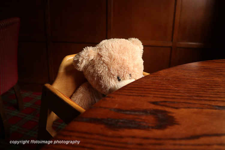 A high chair for baby bear