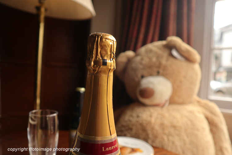 Who knew bears were such big champagne fans?