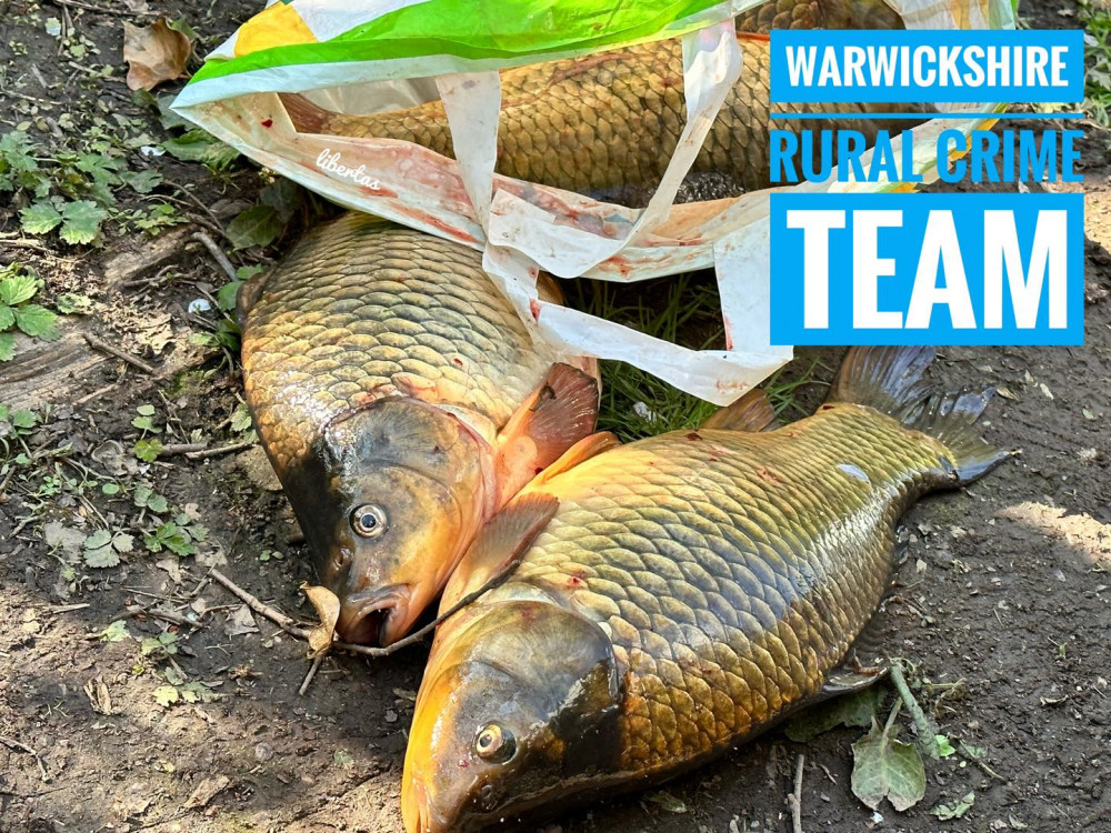 The fish were safely returned to the water (image via Warwickshire Rural Crime Team) 