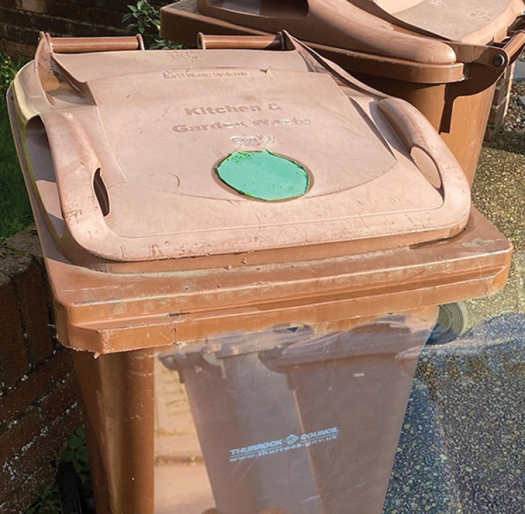 Brown bins are taking precedence over blue after council switch.