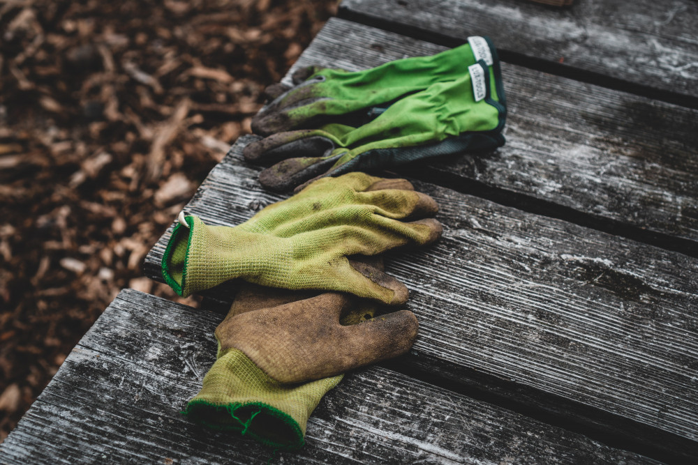 Show off your green-fingered prowess to be in with a chance of winning £100 in gardening vouchers (Credit: Unsplash)