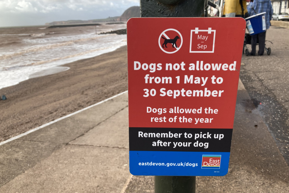 Dogs are banned from parts of East Devon beaches from May 1 to September 30 (Nub News/ Will Goddard)