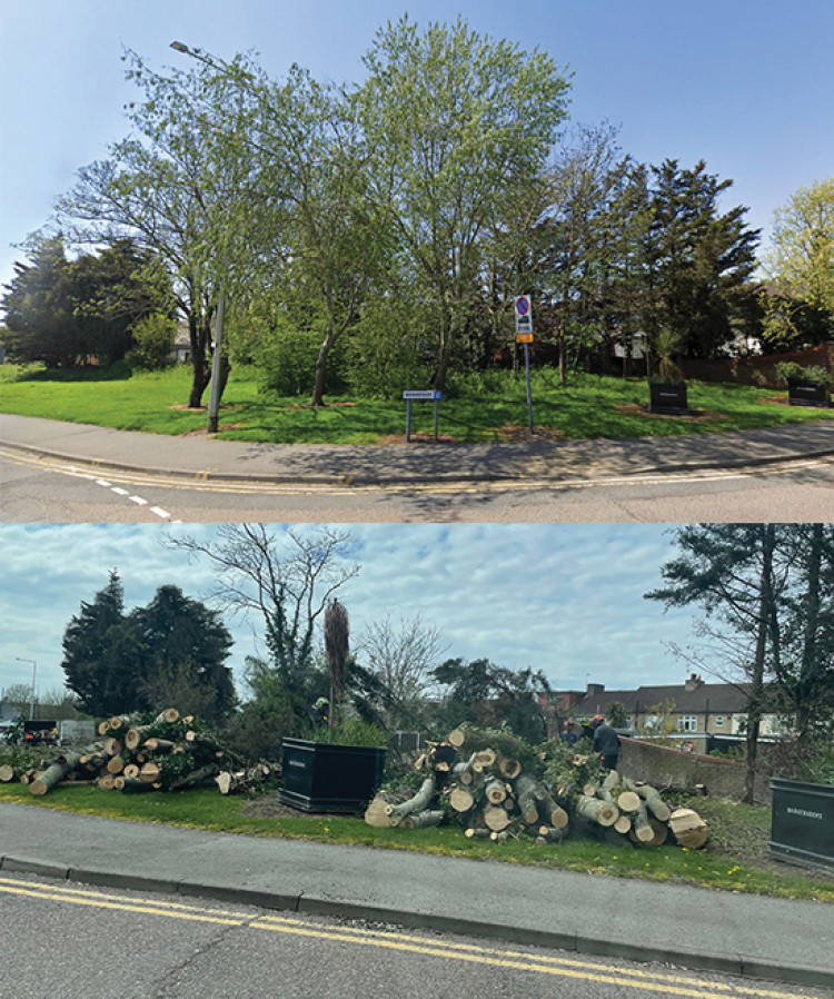 Then and now. How the site used to look - and after today's visit by the axemen. 