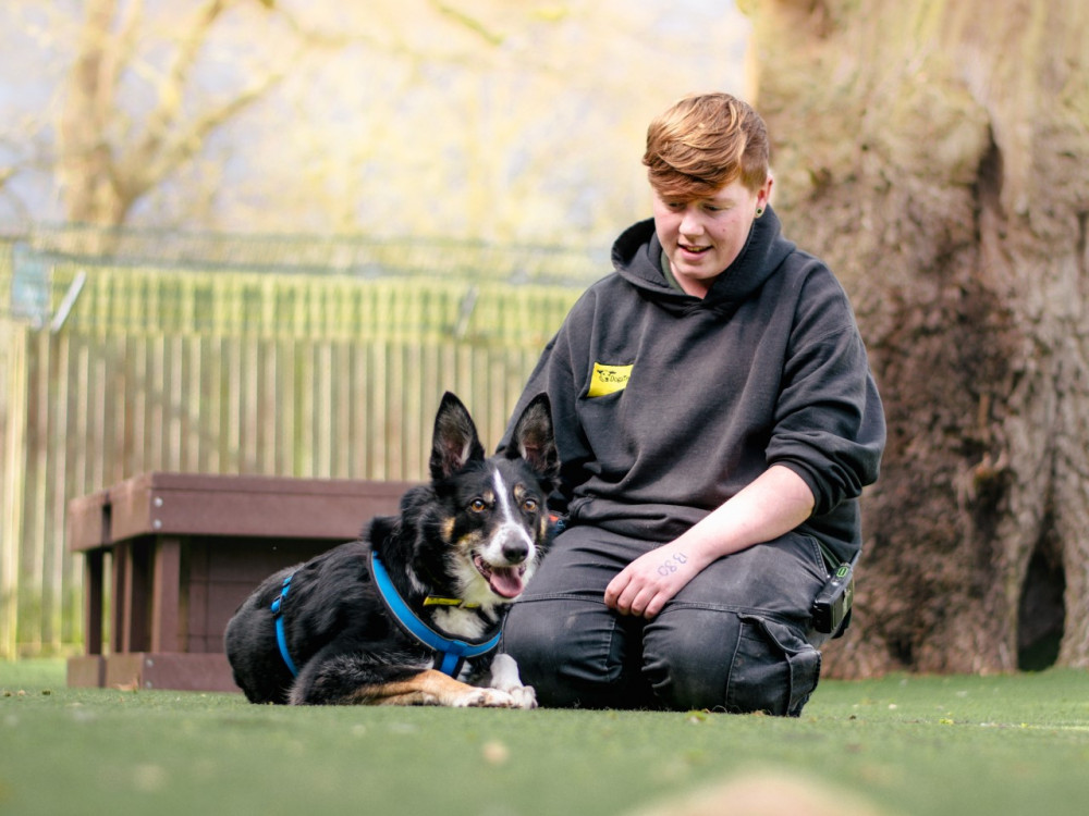 Twelve-year-old Gizmo is pictured with Canine Carer Erin Campbell (image via Dogs Trust)