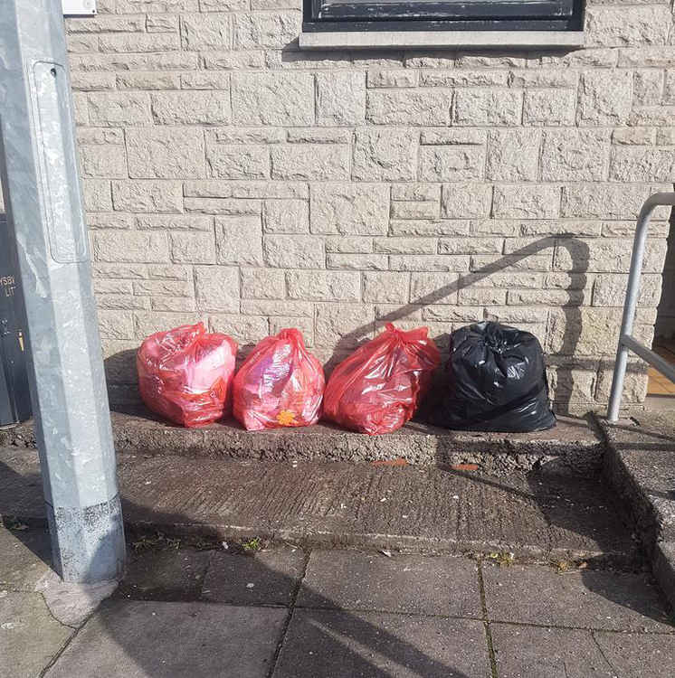 Four of the six bags the group managed to fill