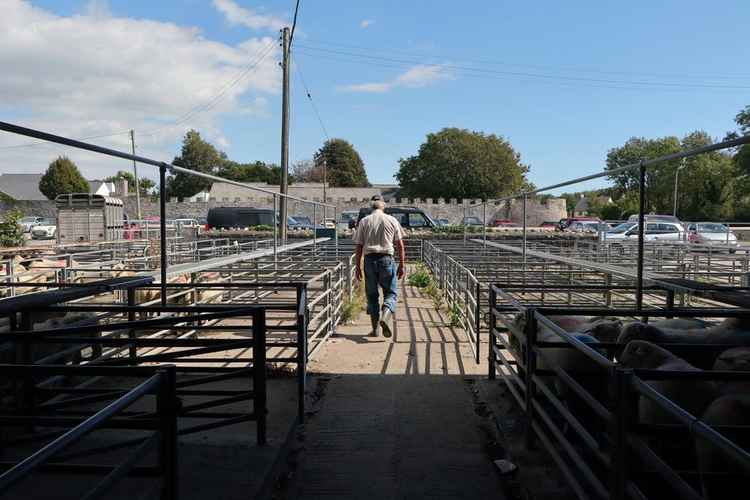 The final trader leaving on the last day of sale (by Glyn Evans)