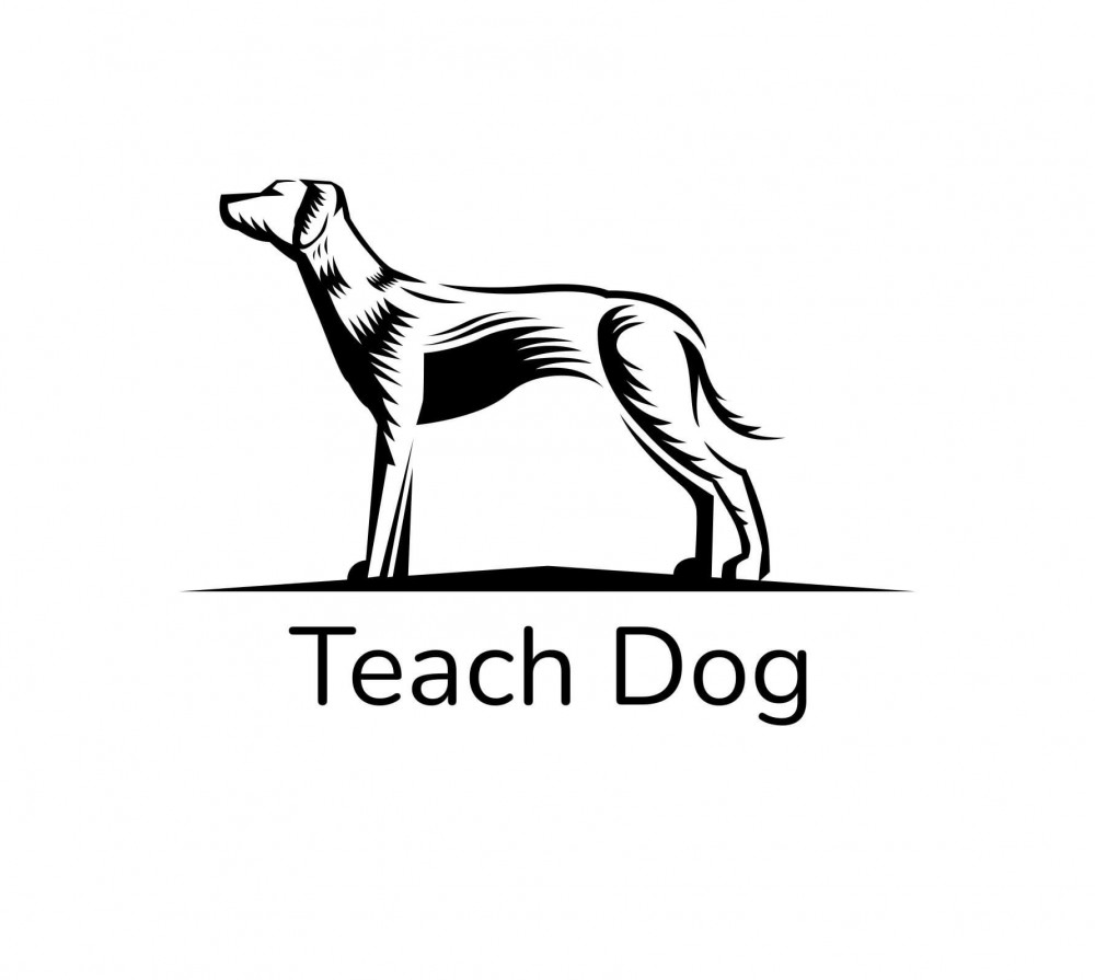 Teach Dog