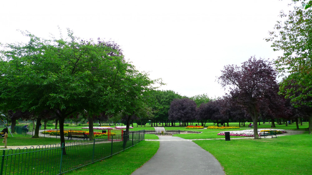 Hounslow Council have already planted over 8,600 trees. Photo: Ewan Munro.