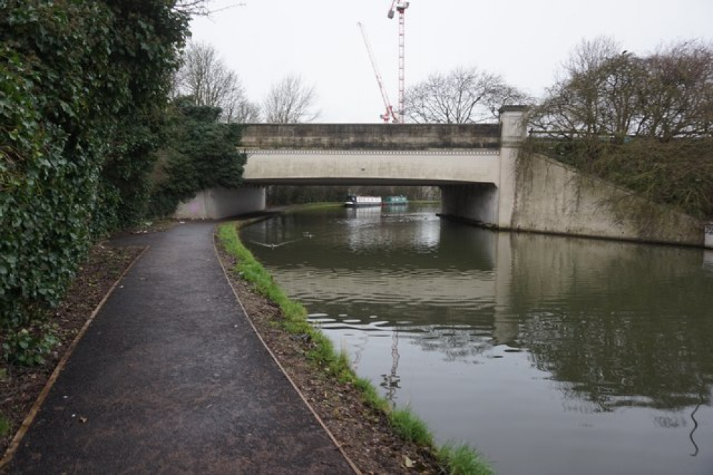 A dog was found dead in the canal in Greenford. Photo: Ian S.