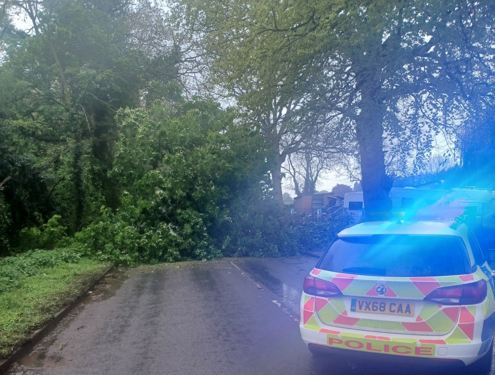 The fallen tree was reported this morning - May 6 (image via Kenilworth and Warwick Rural Police)