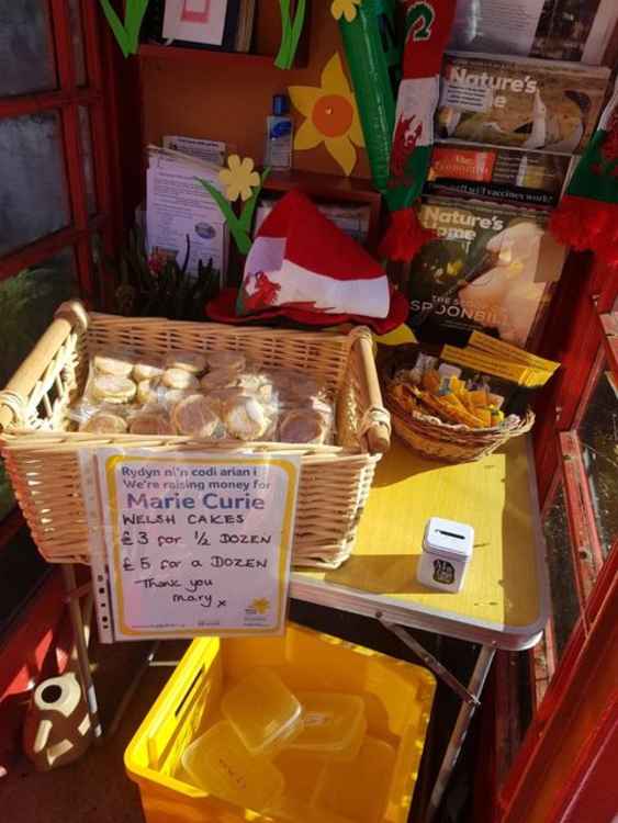 The St Hilary telephone kiosk filled with St David's Day decor