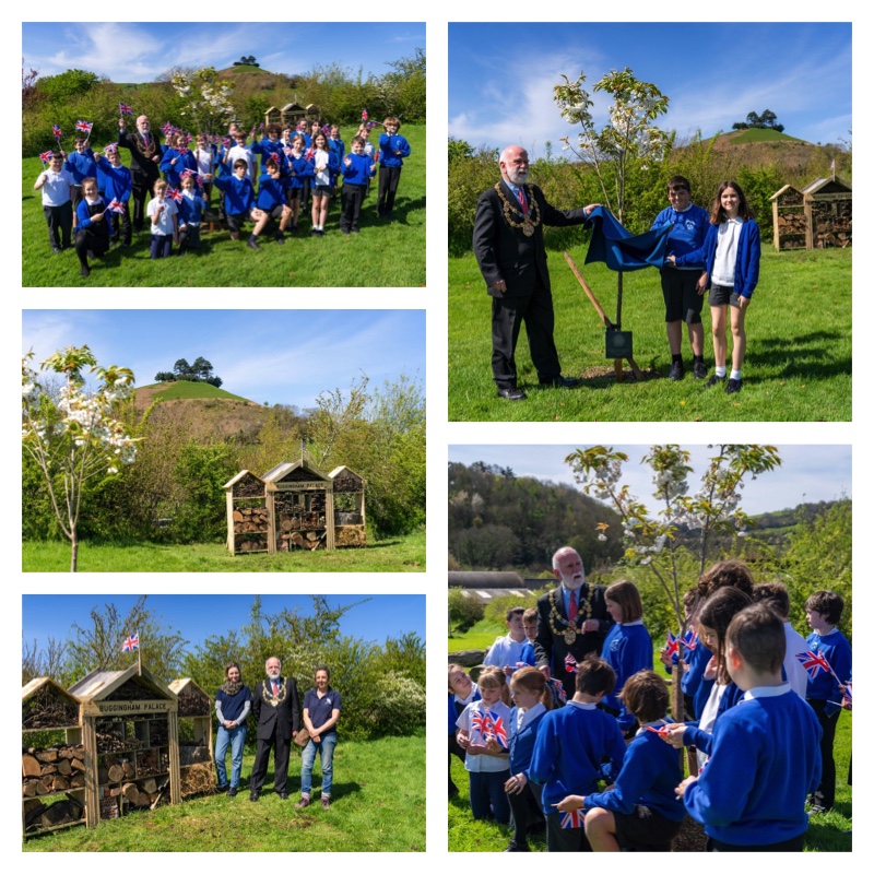 Children from Symondsbury Primary School and staff from Symondsbury Estatewere joined by the Mayor of Bridport to unveil a plaque beside cherry trees planted to mark the coronation