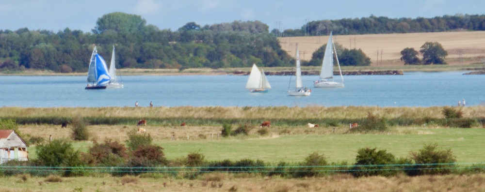 Sailing on the Orwell (Picture: Nub News)