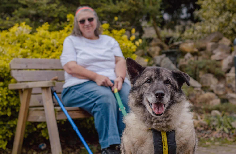 Foster carer Elaine is hoping Casper finds a permanent home soon (image via Dogs Trust)