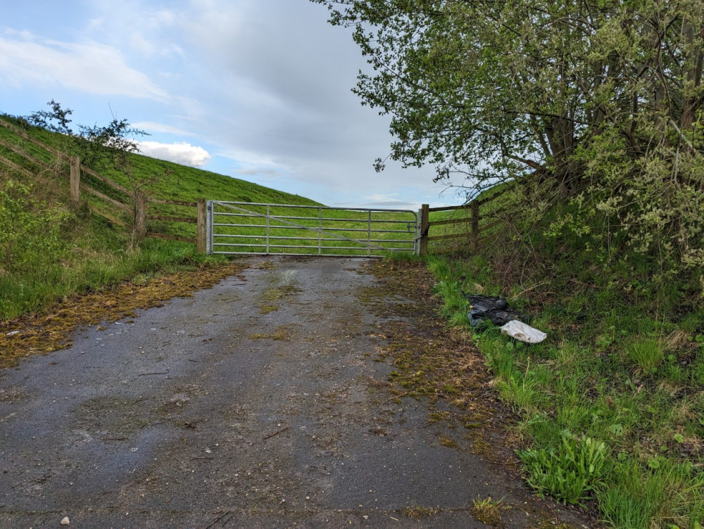 The dead dogs were dumped in Houndings Lane, Sandbach (Photo: RSPCA) 