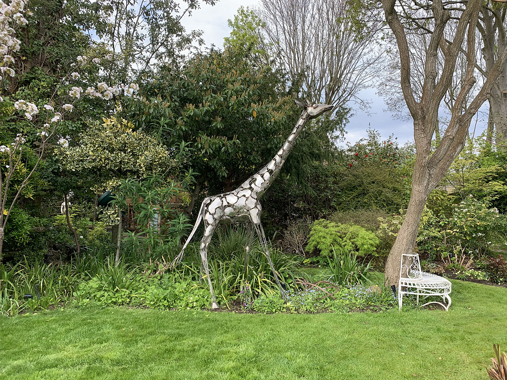 Holmesdale giraffe (Credit: Teddington Society)