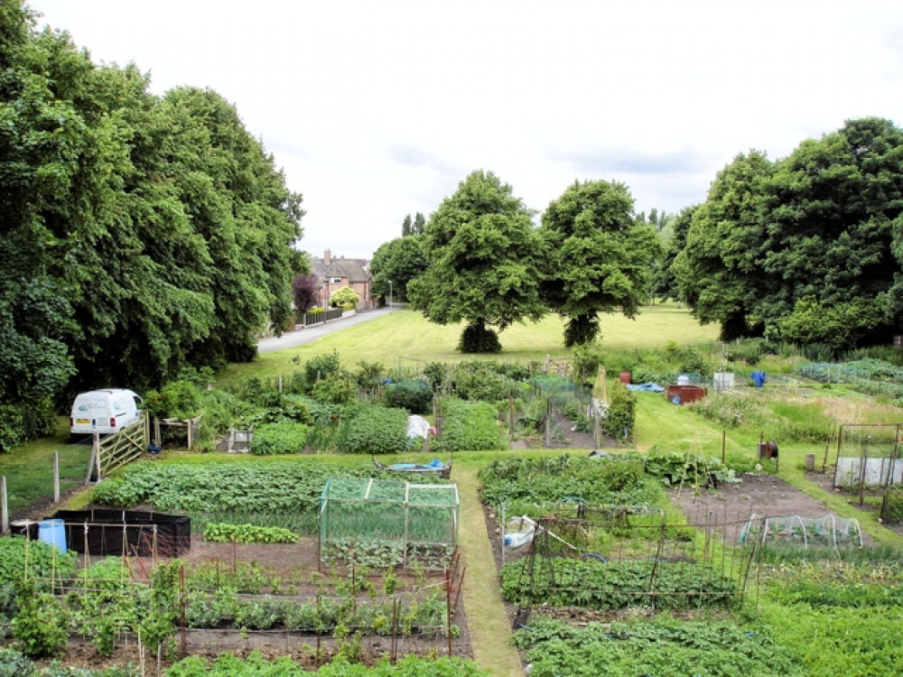 Hounslow Council announce that nearly 2,000 allotments have been taken up in the borough. Photo: Mike Harris.