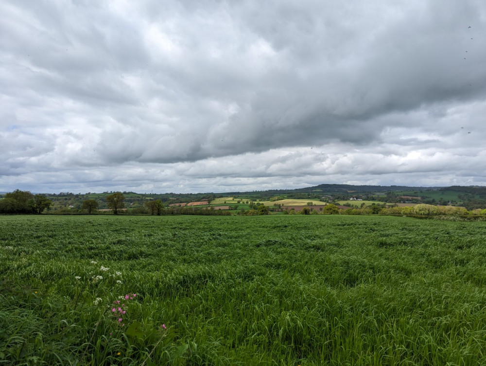 Photo of fields just outside Honiton. Devon farmers will be paid to store water on their land (Nub News) 