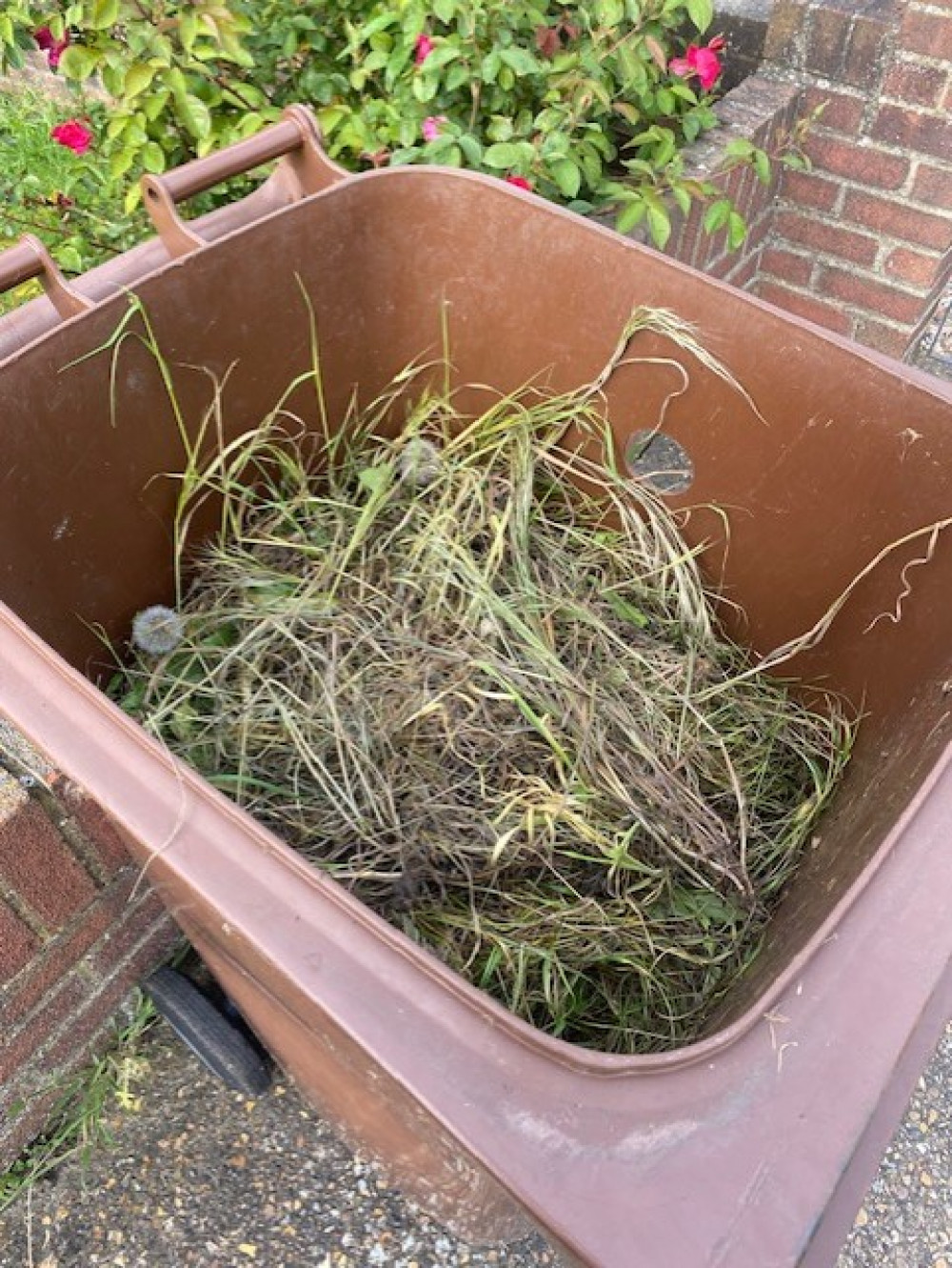 If your brown bin's full then you will have to wait until at least July for the waste to be taken away - but the likelihood is it will not be collected again unless Thurrock emulates other councils and brings in an additional payment system 