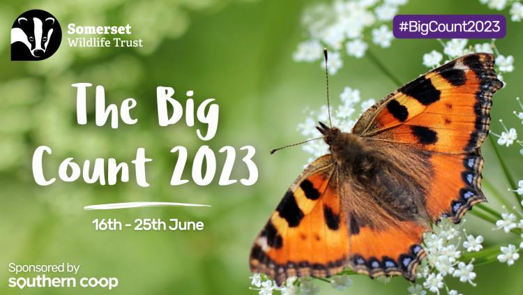 The focus of this dynamic event is community engagement and the enjoyment of Somerset's rich wildlife.