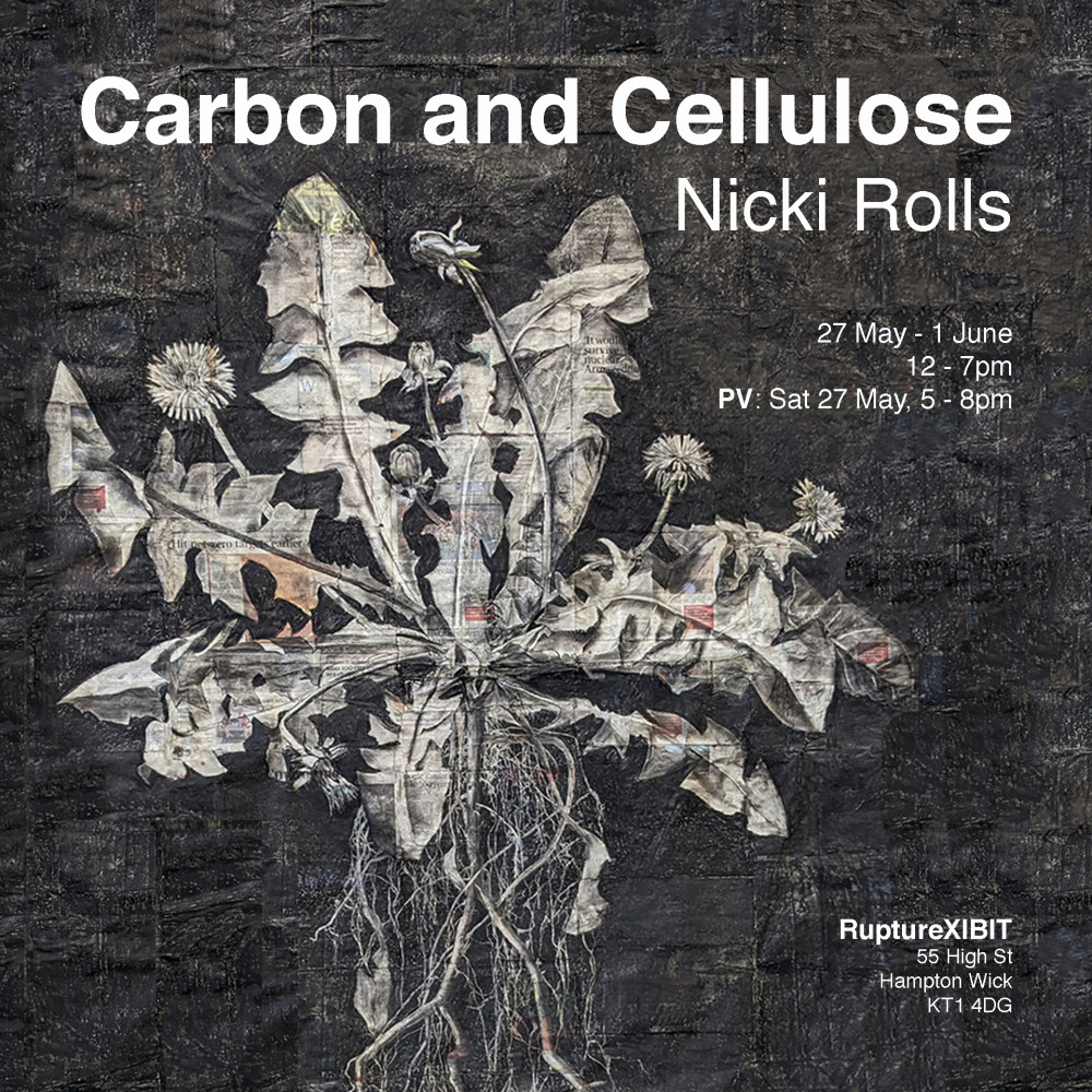 Carbon and Cellulose