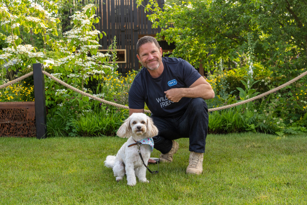 Steve Backshall, RSPCA vice president and ‘Wildlife Friend’ plays with a wildlife-friendly frisbee with rescued puppy-farm dog Daisy at The RSPCA Garden at RHS Chelsea Flower Show. USE  © Jeff Moore
