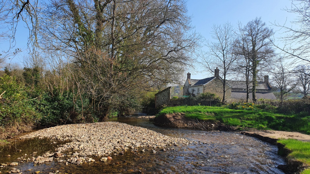 A river near Honiton (Nub News)