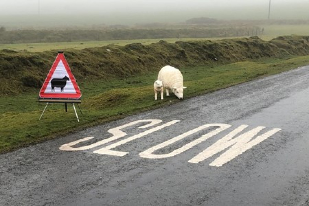 (Image: Devin and Cornwall Police) (Image: Devin and Cornwall Police)