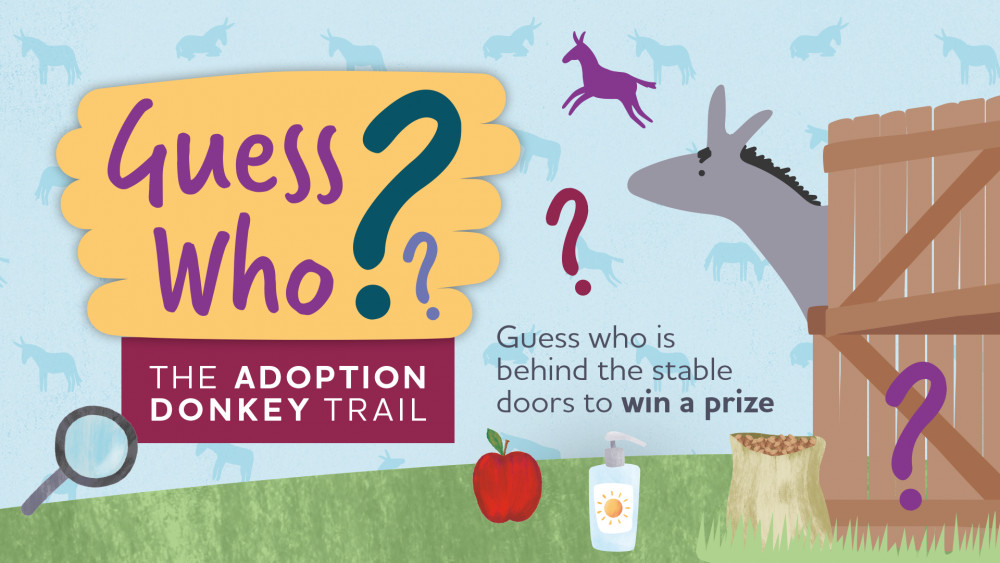 Guess Who Adoption Donkey Trail – Summer Trail