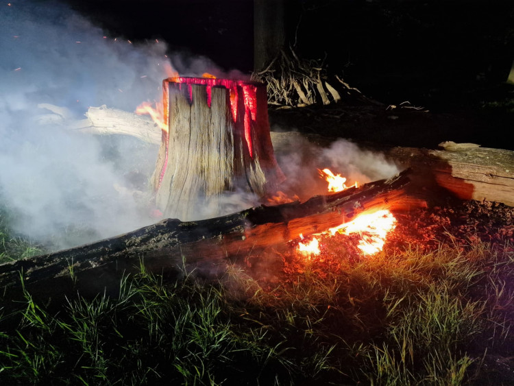 Police have issued a reminder on the strict ban of barbecues across all Royal Parks following a tree that caught fire at Richmond Park over the Bank Holiday Weekend (Credit: Royal Parks Police)