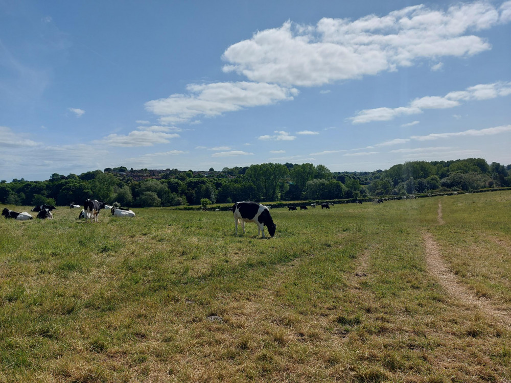 The beating heart of Somerset - that's how volunteers are described