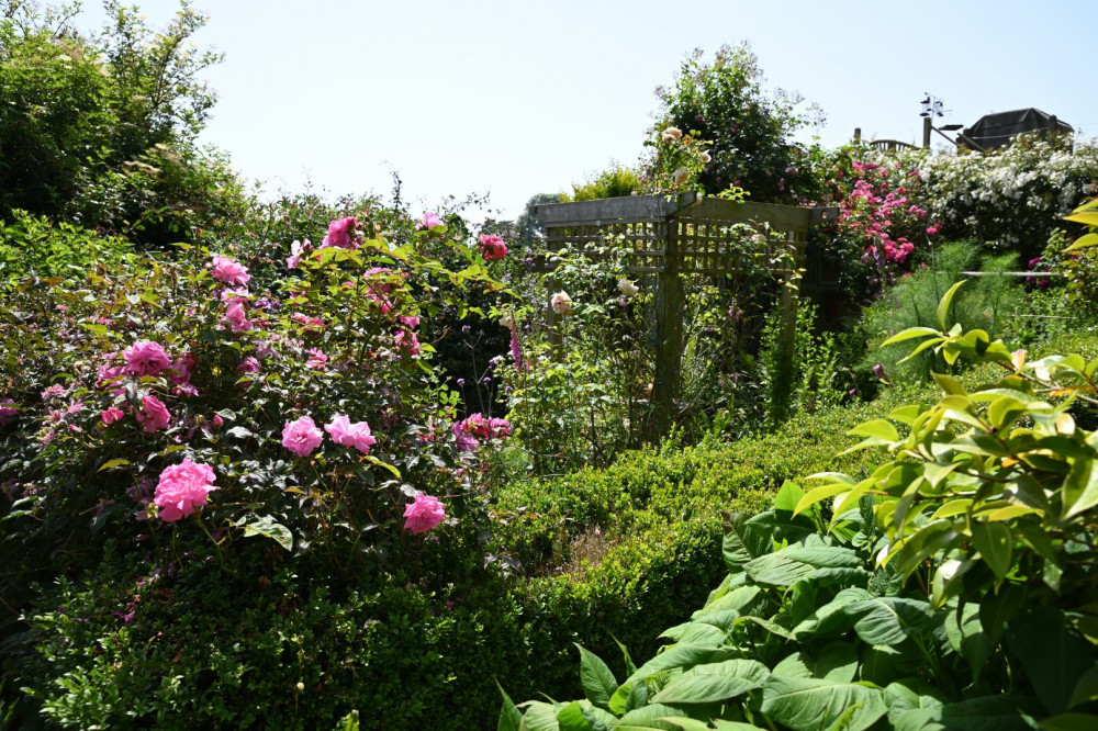 A previous winner of the Melplash Agricultural Society garden competition