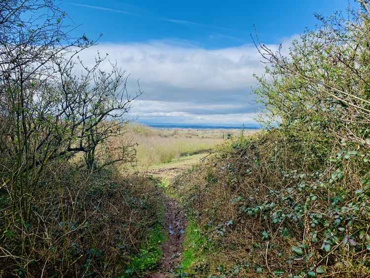 Looking out towards Moel Famau