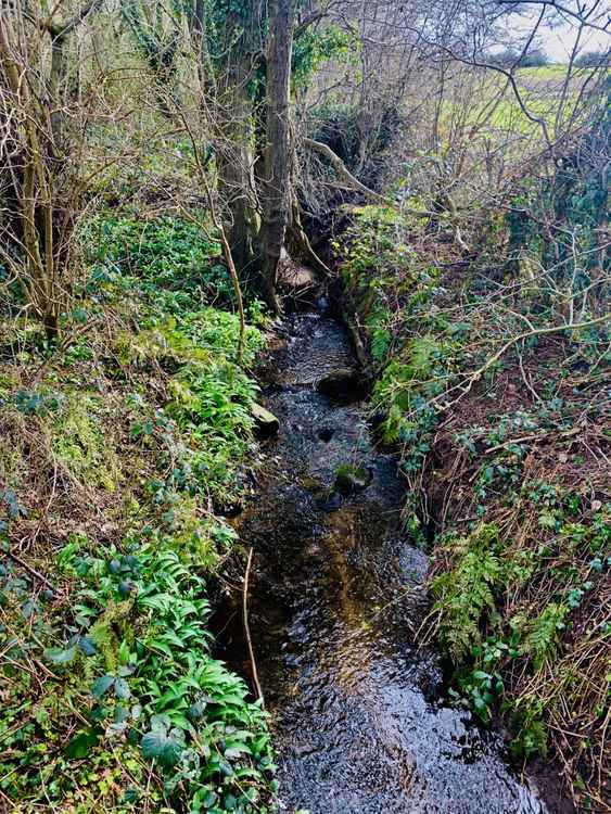 Moor's Brook