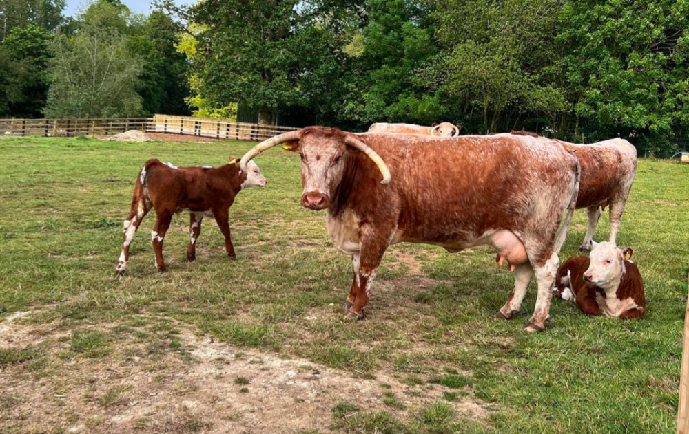 Proud mum with her offspring. Image credit: Rutland Farm Park. 