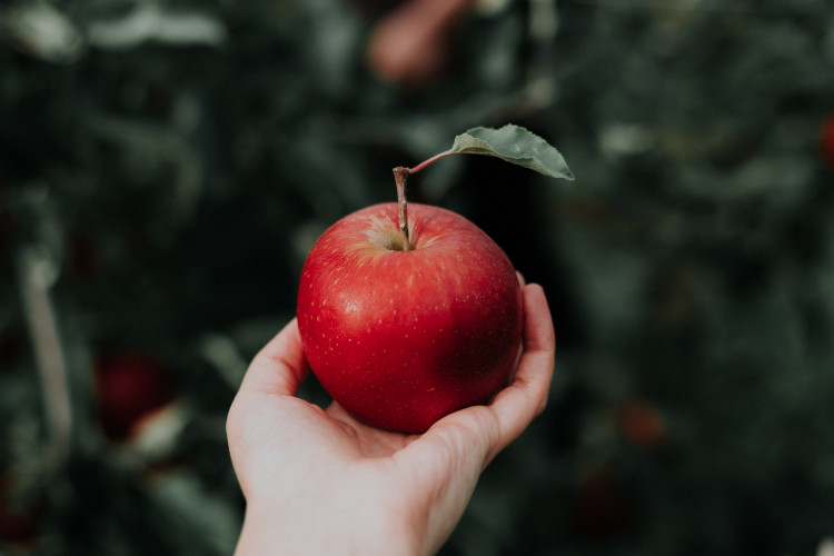 Photo by Priscilla Du Preez on Unsplash Photo by Priscilla Du Preez on Unsplash
