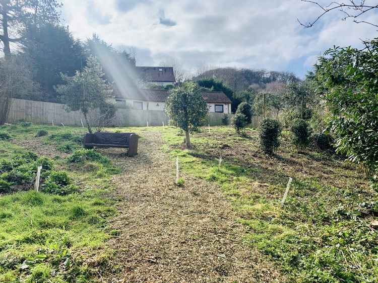 Manley Road Copse on 22 March 2021