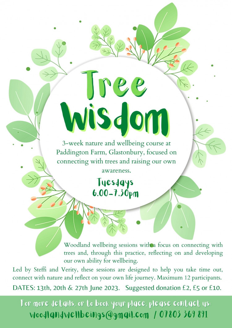Tree Wisdom Tree Wisdom