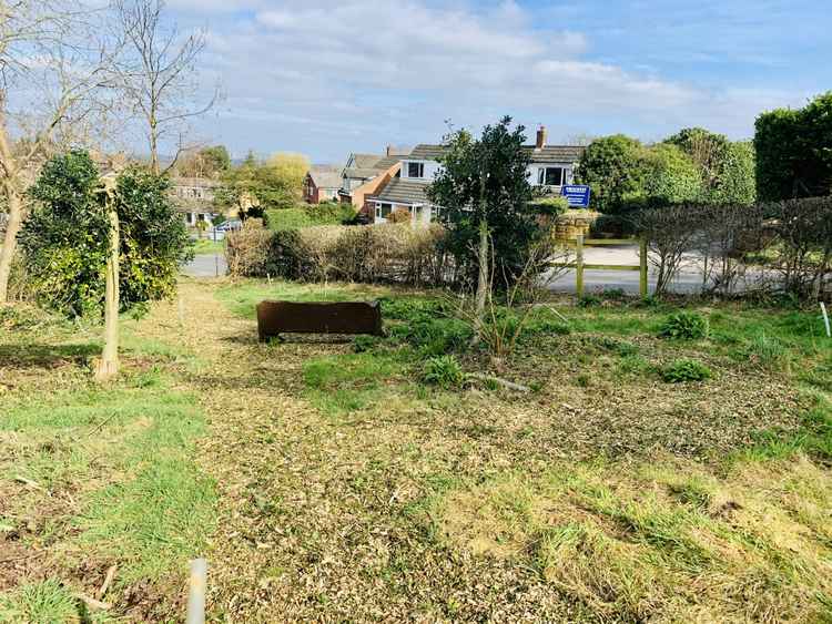 Manley Road Copse on 22 March 2021