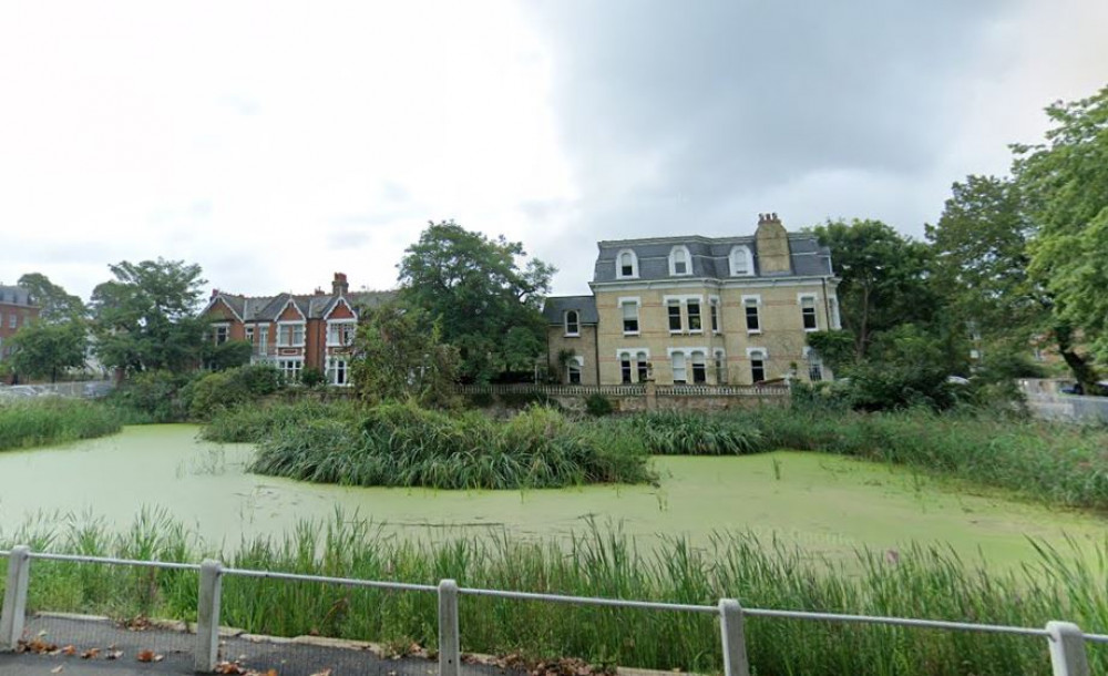 Police and Council chiefs have launched an investigation into allegations that ducks on Kew Pond have been attacked.