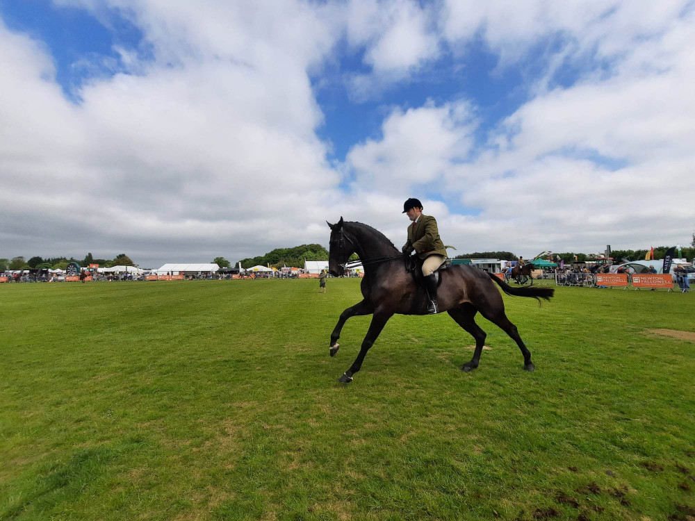 Local businesses as well as horse owners and riders displayed at the event. Image credit: Nub News. 