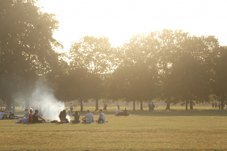 Barbecues are prohibited on Clapham Common but often appear during hot weather (Credit: Isabel Millett, Nub News)